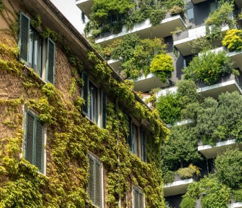 Commercial landscaping installation for corporate exterior by NV Spaces