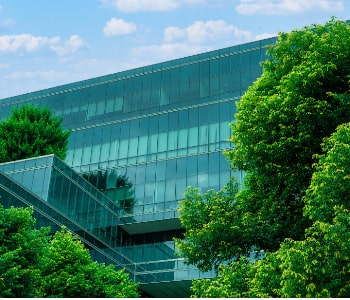 Commercial landscaping maintenance for plaza greenery by NV Spaces in Saudi Arabia