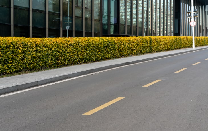 Completed green belt development project in Saudi Arabia by NV Spaces