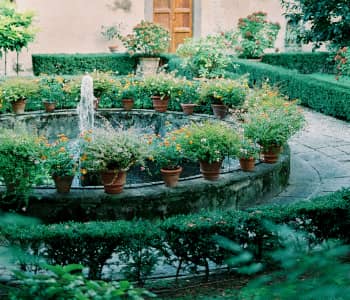 Residential garden pathway and outdoor living space by NV Spaces in Saudi Arabia