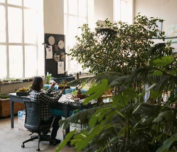 Office outdoor break area with greenery by NV Spaces in Saudi Arabia